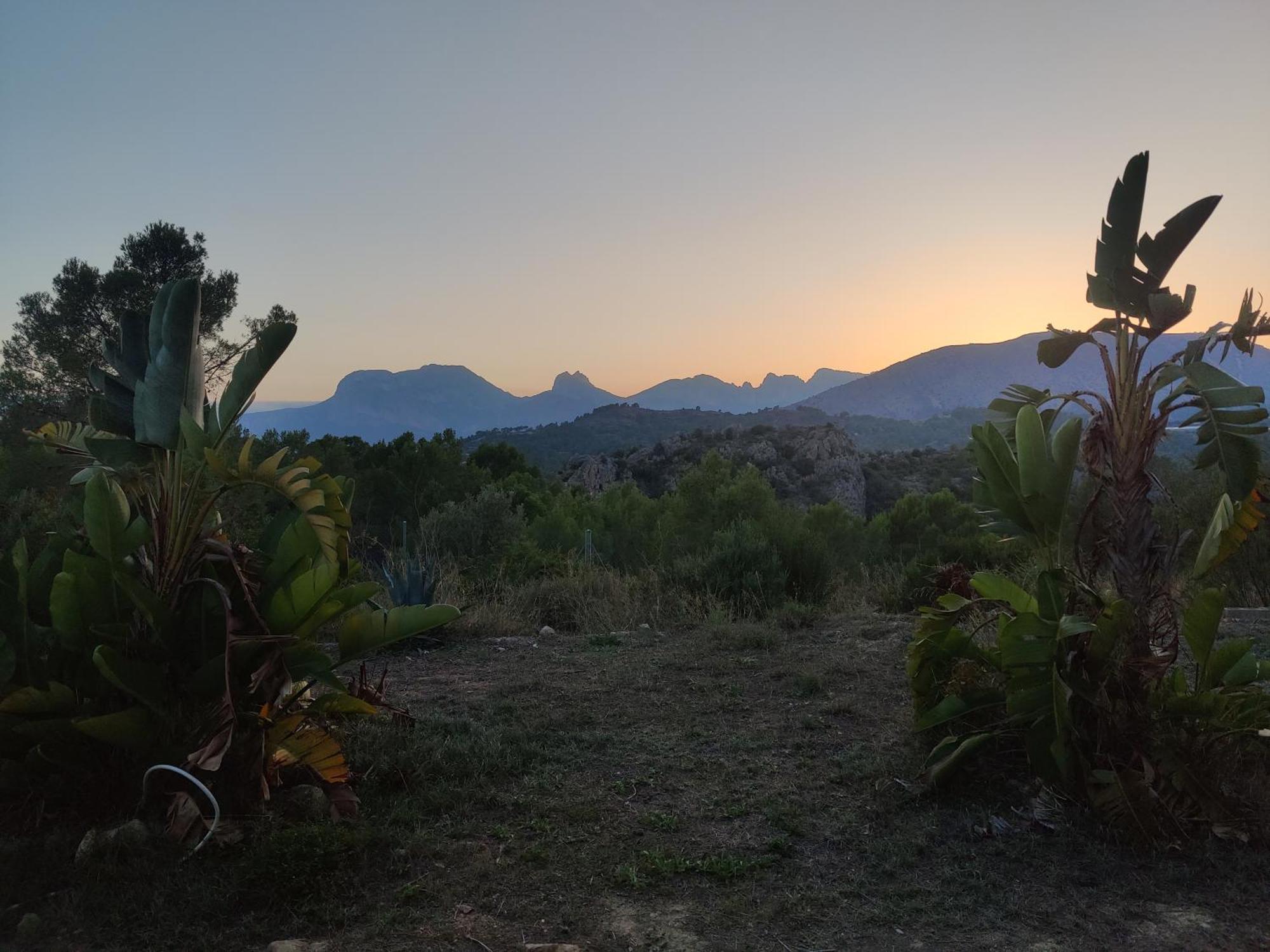 Finca Caracol Bolulla エクステリア 写真